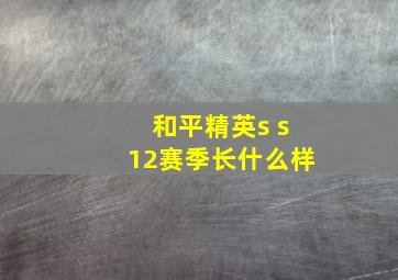 和平精英s s12赛季长什么样